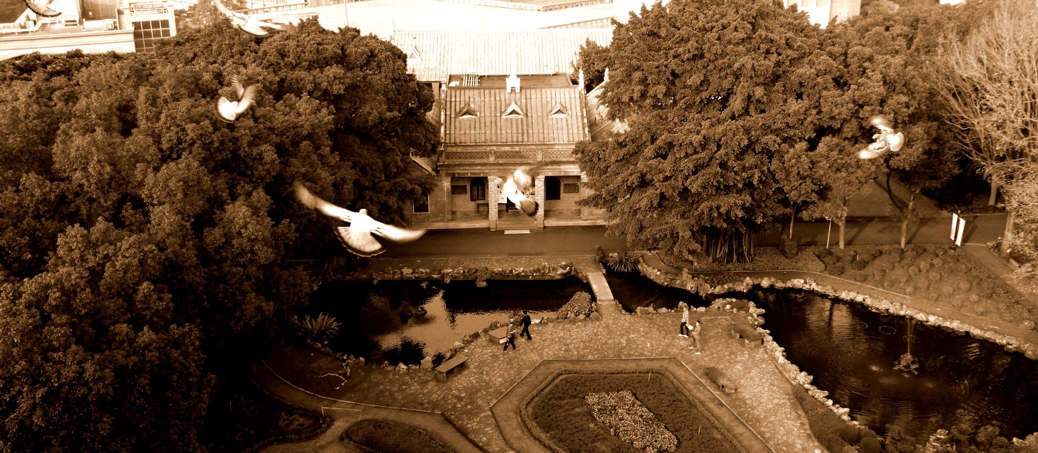 校園景象